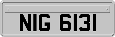 NIG6131