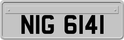 NIG6141