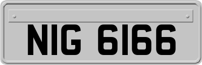 NIG6166