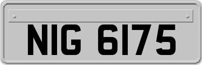 NIG6175