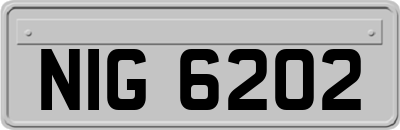 NIG6202