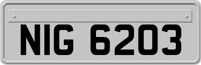 NIG6203