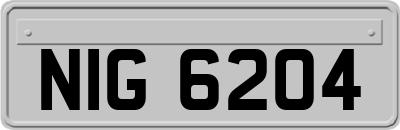NIG6204
