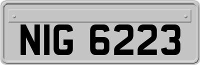 NIG6223