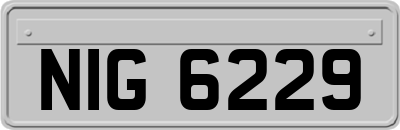 NIG6229