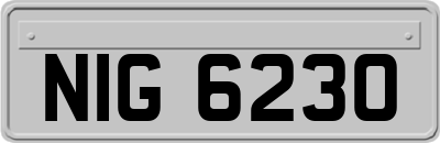 NIG6230