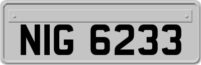 NIG6233