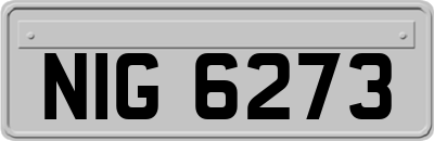 NIG6273