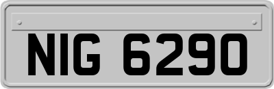 NIG6290