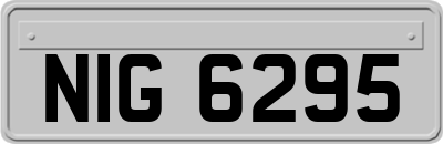 NIG6295