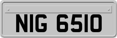 NIG6510