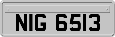 NIG6513