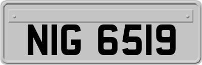 NIG6519