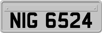 NIG6524