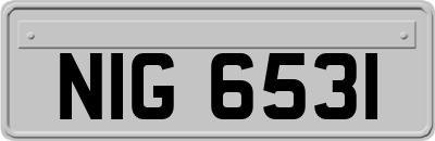 NIG6531