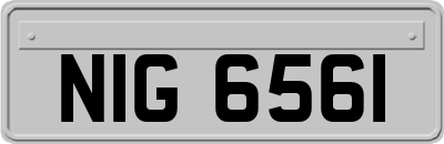 NIG6561