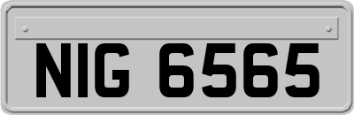 NIG6565