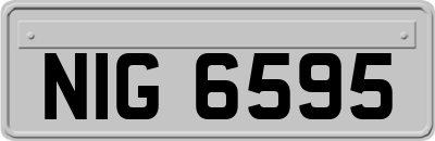 NIG6595