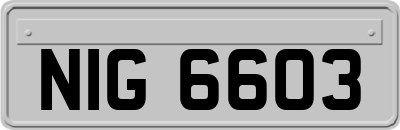 NIG6603