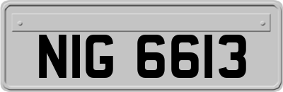NIG6613