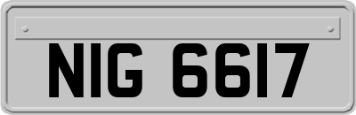 NIG6617