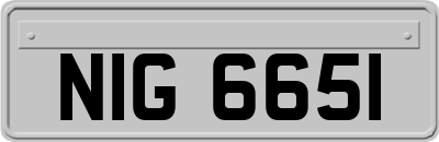 NIG6651