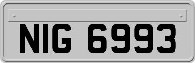NIG6993