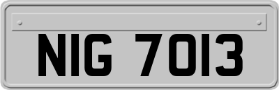 NIG7013