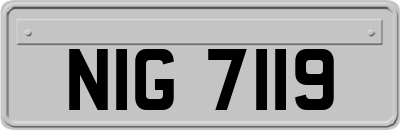 NIG7119