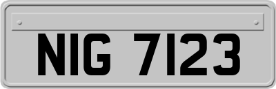 NIG7123