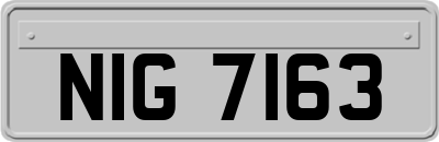 NIG7163