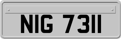 NIG7311
