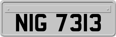 NIG7313