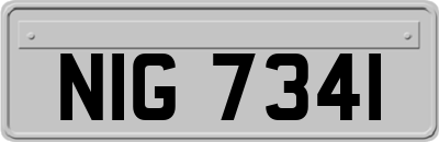 NIG7341