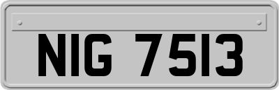 NIG7513
