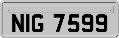 NIG7599