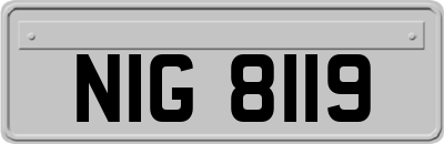 NIG8119