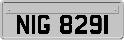 NIG8291