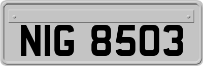 NIG8503