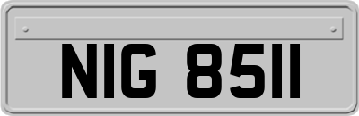 NIG8511
