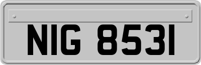 NIG8531