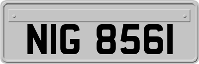 NIG8561