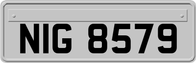 NIG8579