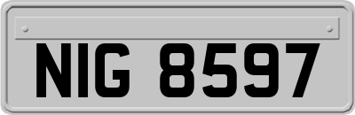 NIG8597