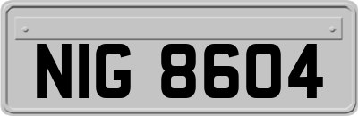 NIG8604