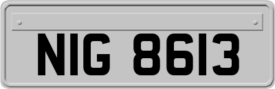 NIG8613