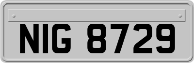 NIG8729