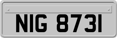 NIG8731