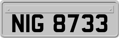 NIG8733