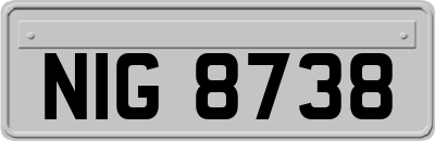 NIG8738